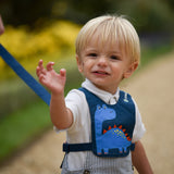 LittleLife Toddler Reins