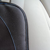 LitteLife Car Seat Protector