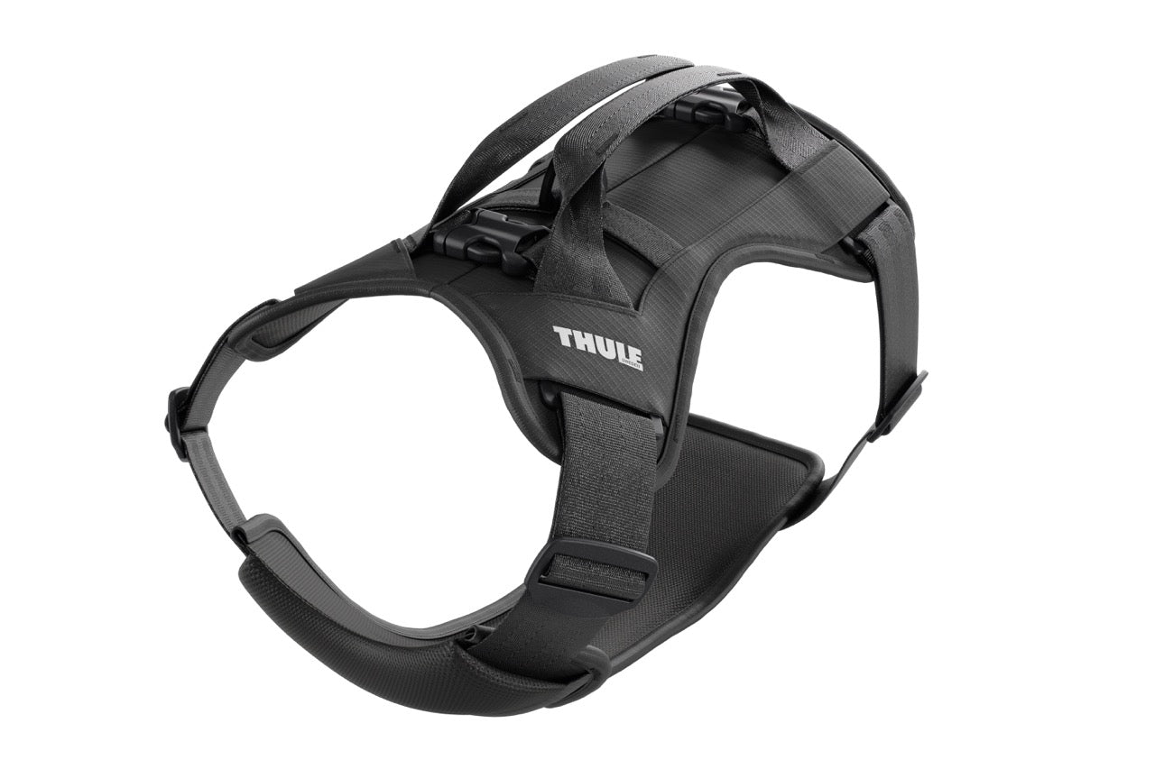 Thule Cappy