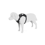 Thule Cappy