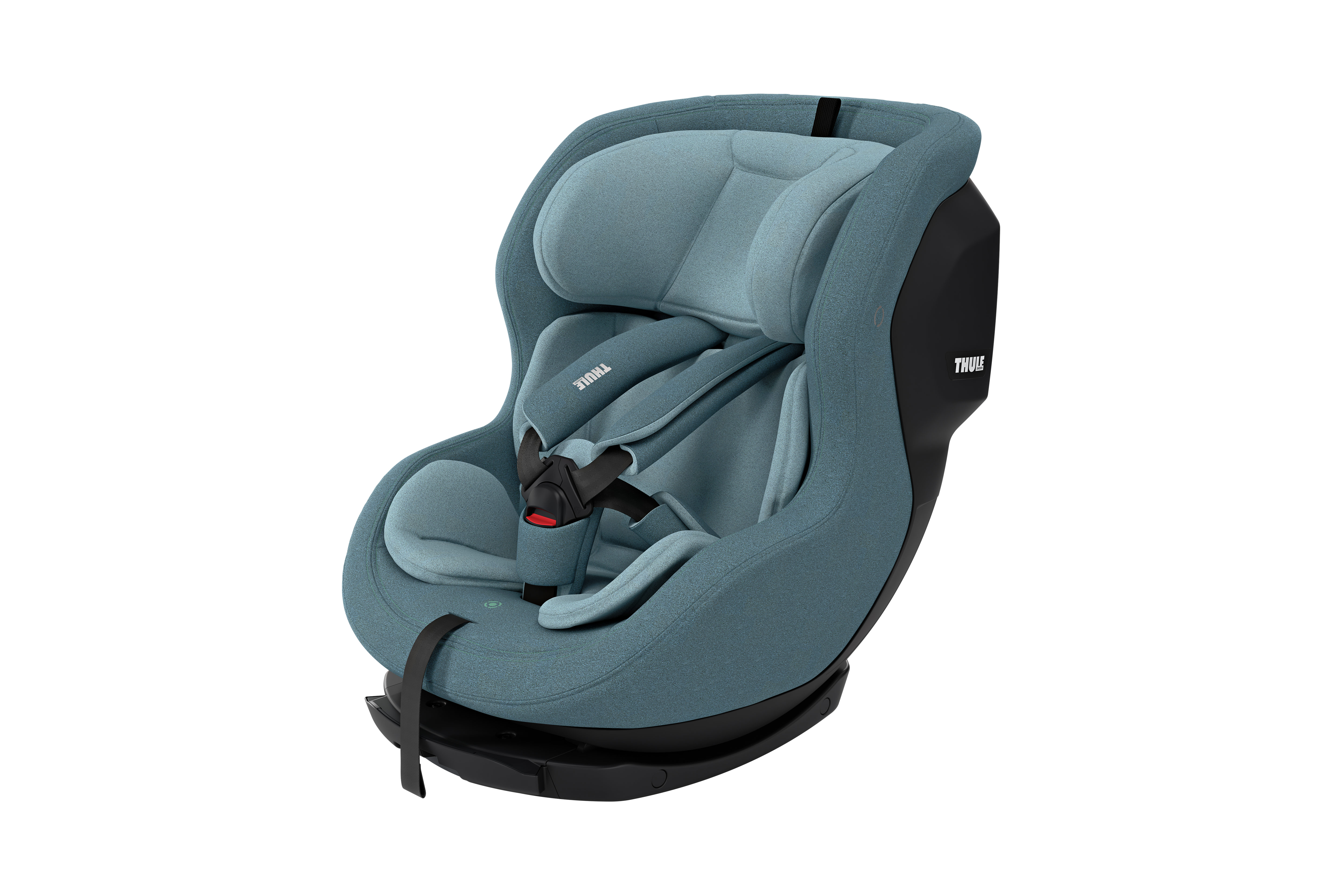 Thule Elm
