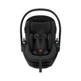 Thule Maple