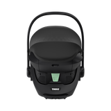 Thule Maple