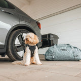 Thule Cappy