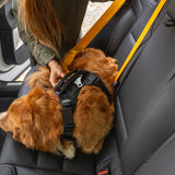 Thule Cappy