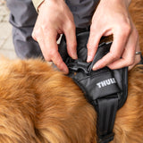 Thule Cappy