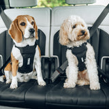 Thule Cappy
